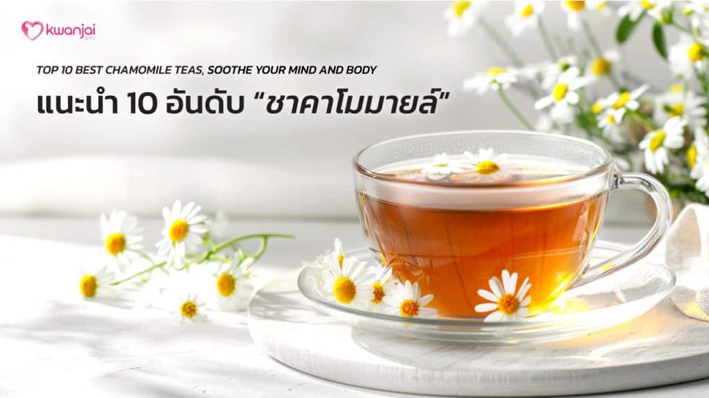 Cover-499-ชาคาโมมายล์