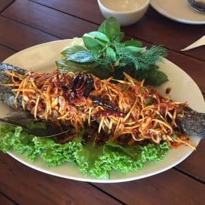 ปลาช่อนคีรี
