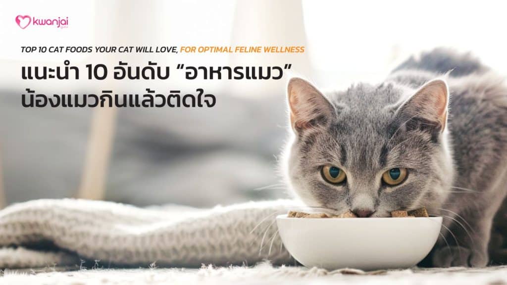 cat food