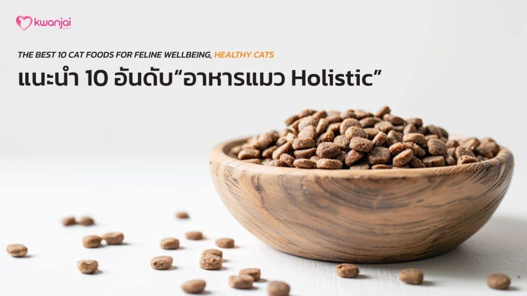 อาหารแมว holistic