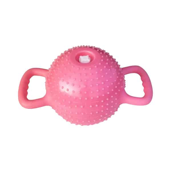 Water Filled Yoga Kettle Bell