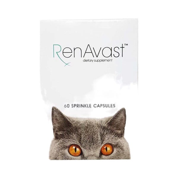 RenAvast CAT 60 capsules อาหารเสริม บำรุงไต