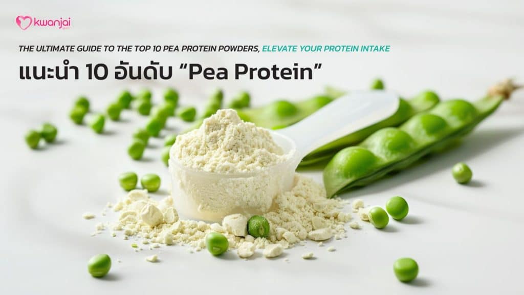 Pea Protein