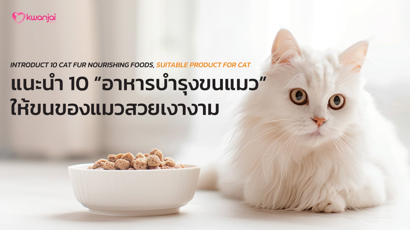 Cat fur Nourishing Food