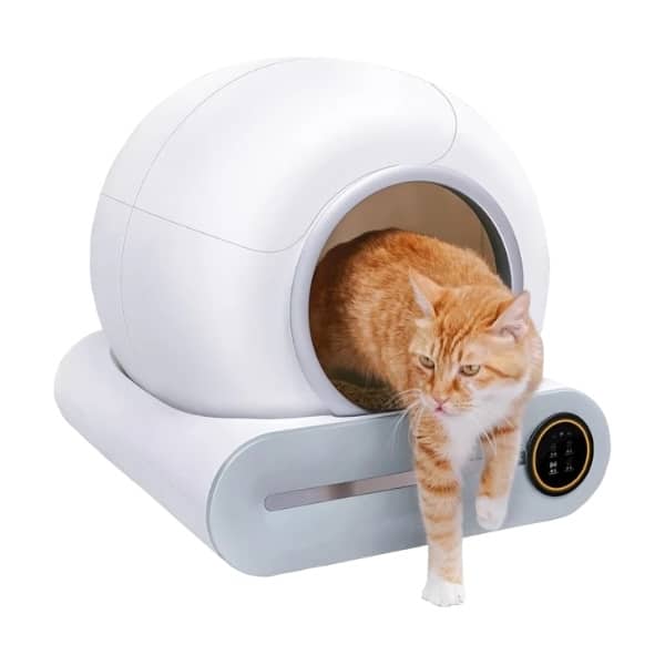 Papifeed Catmaster Automatic Cat Toilet