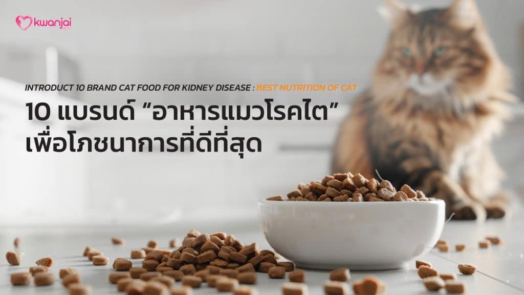 Cat Food-for Kidney Disease