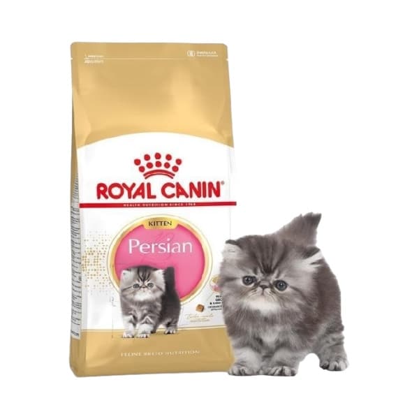 Royal Canin Kitten Persian