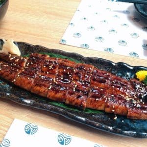 Resize_8-Organic-Unagi