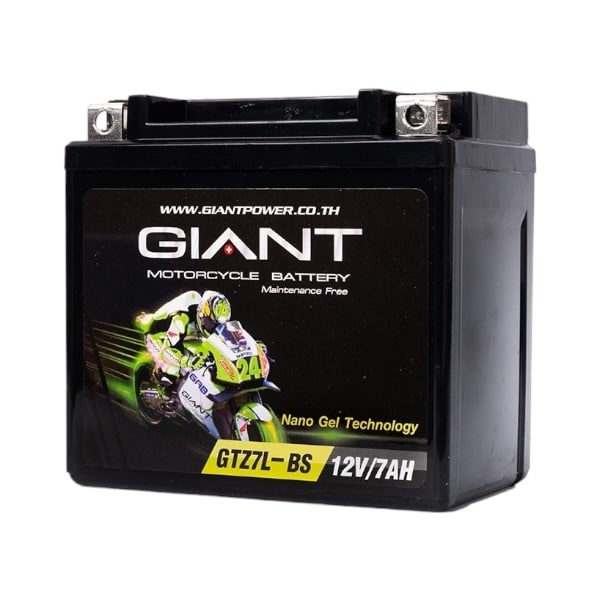 5 Giant GTZ7L-BS