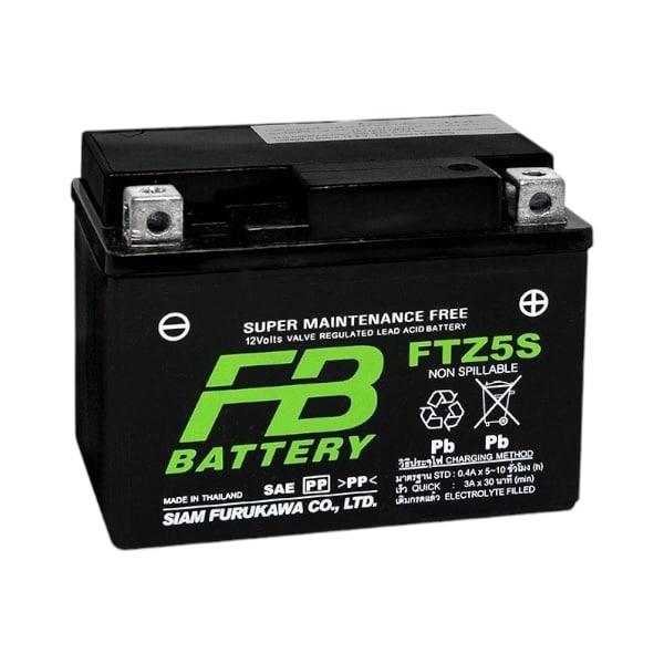 6 FB Battery FTZ5s