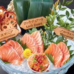 8 World Salmon Sashimi Set