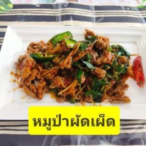 9 หมูป่าผัดเผ็ด