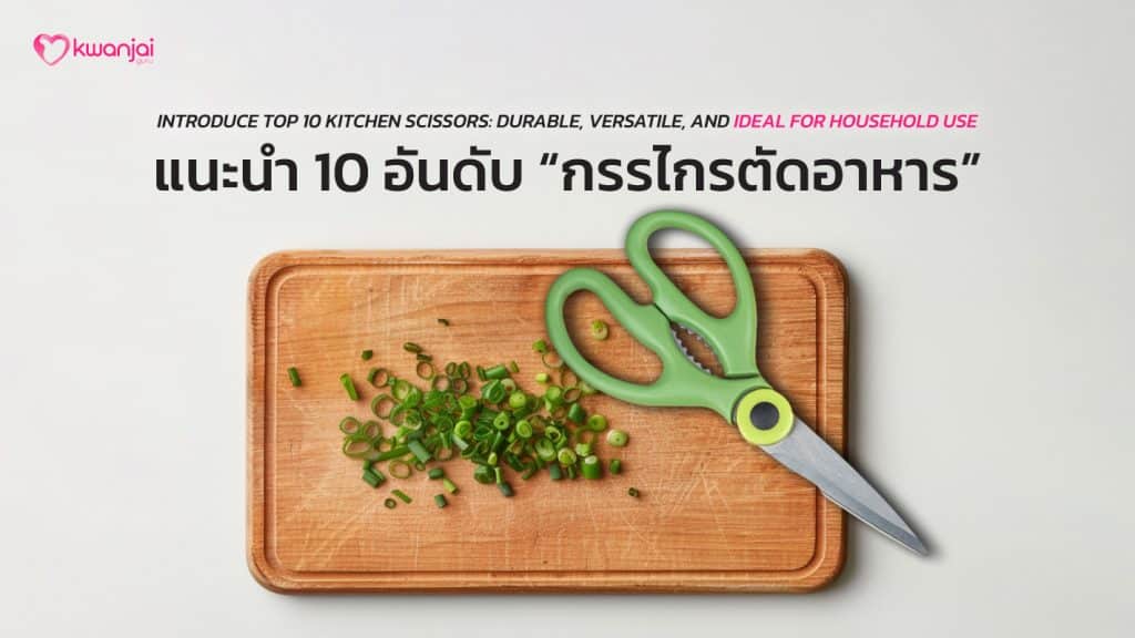 COVER-494-Kitchen-Scissor